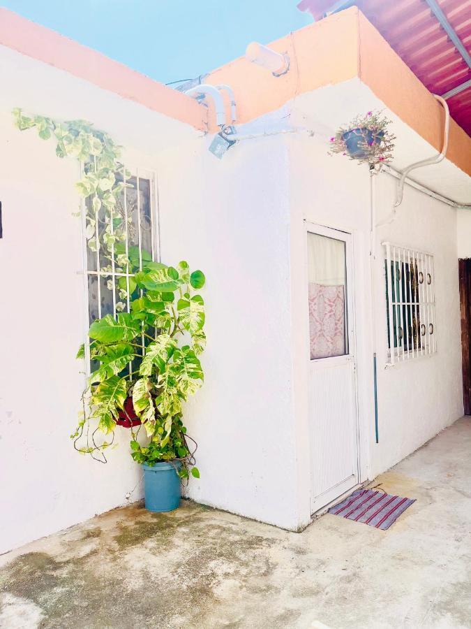 Alojamiento En La Calle 56 Playa Del Carmen Dış mekan fotoğraf