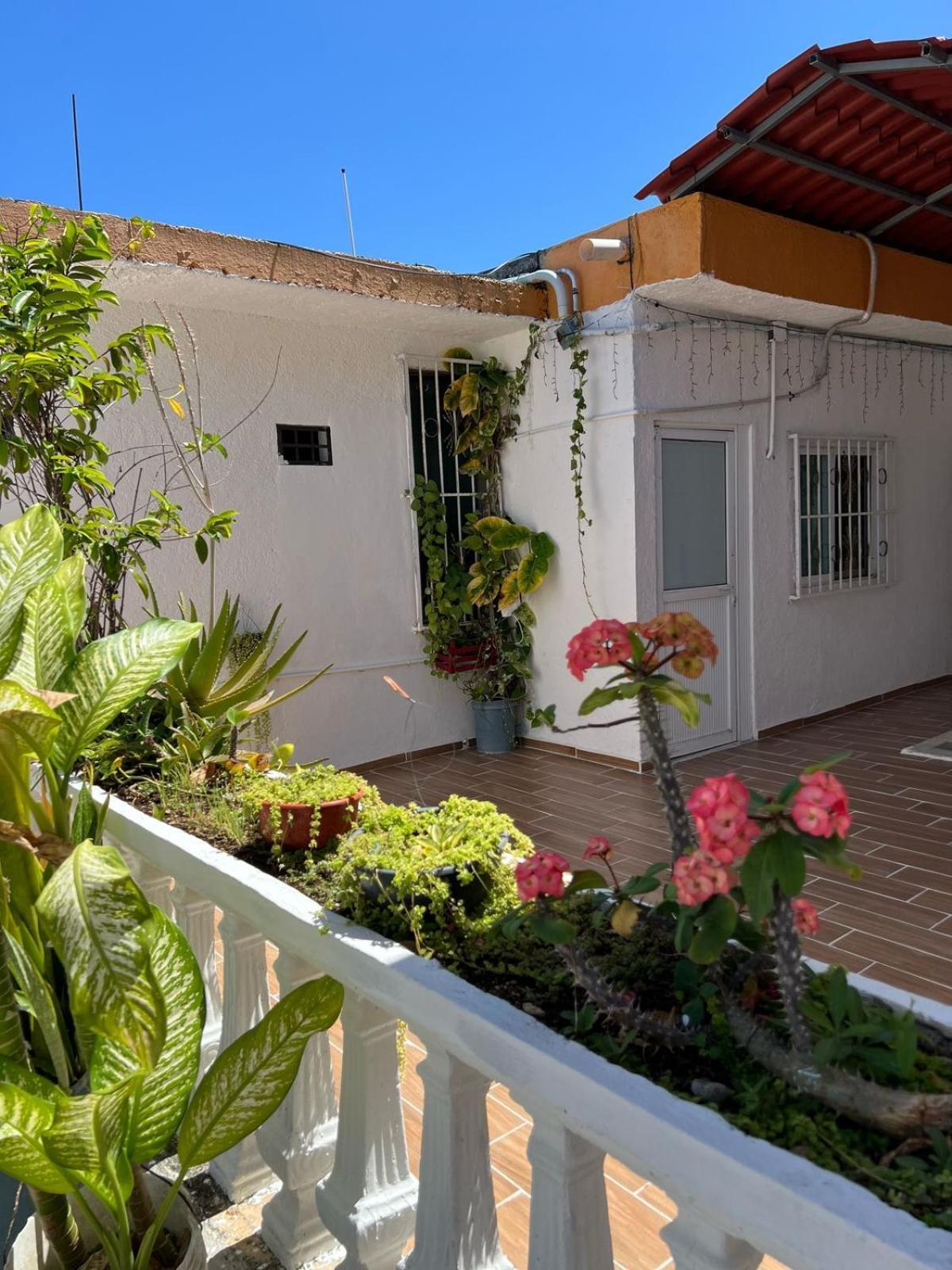 Alojamiento En La Calle 56 Playa Del Carmen Dış mekan fotoğraf